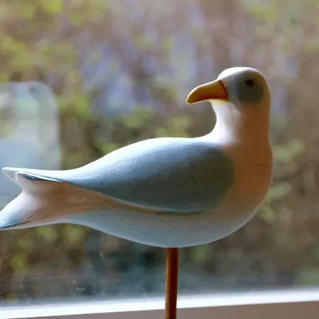 아파트 Birkenweg Ankerplatz I 카롤리넨시엘