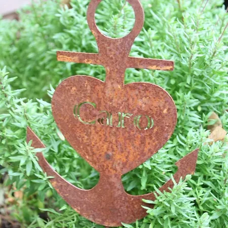 Birkenweg Ankerplatz I 아파트 카롤리넨시엘